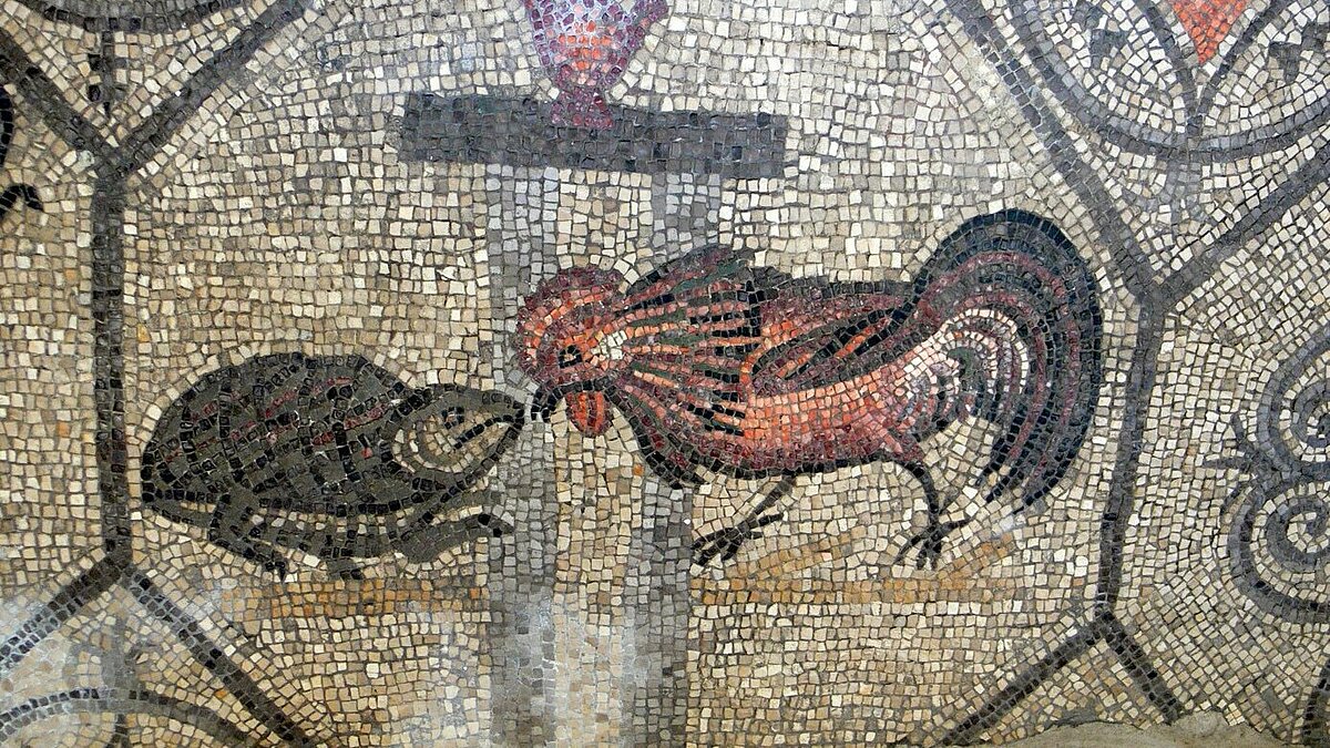 Patriarch's basilica, Aquileia. Excavations: Mosaic (4th century). A cock is fighting against a turtle.